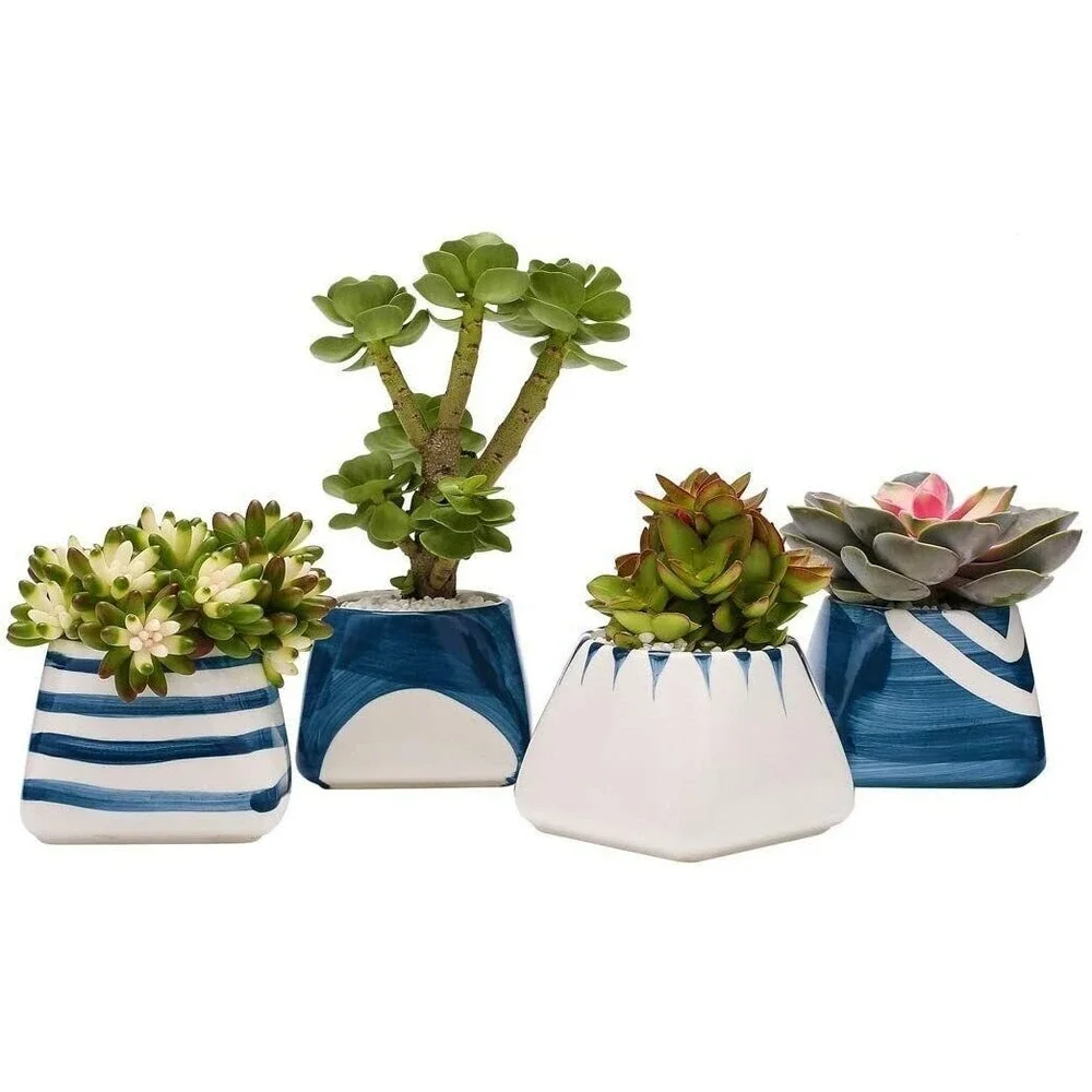 Ceramic Succulent Planter Pots with Drain Hole - White Blue Square  - Touch Miss